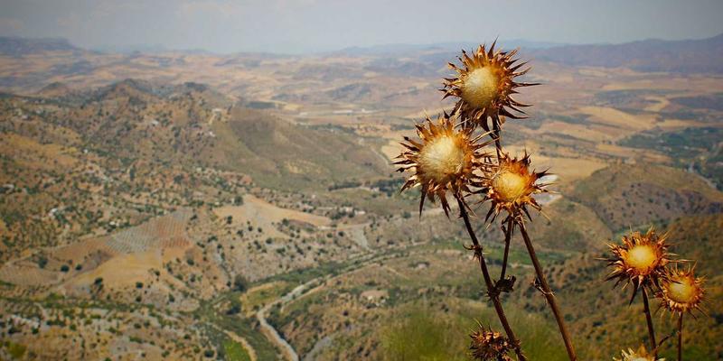 IPv6规模部署：关键过渡技术选择与高效运维实战指南