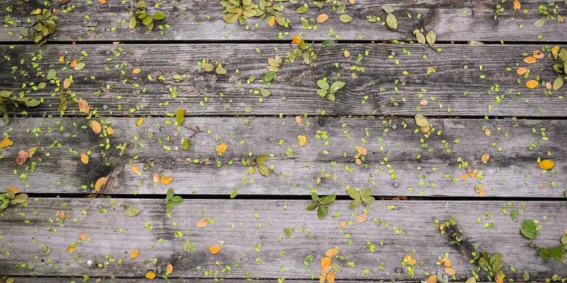 IPv6规模部署实战指南：编程、网络与系统管理中的过渡技术难点与解决方案深度剖析