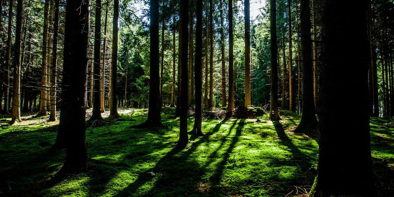 IPv6规模部署：直面挑战、掌握过渡技术与实现业务平滑迁移的IT资源与网络安全指南