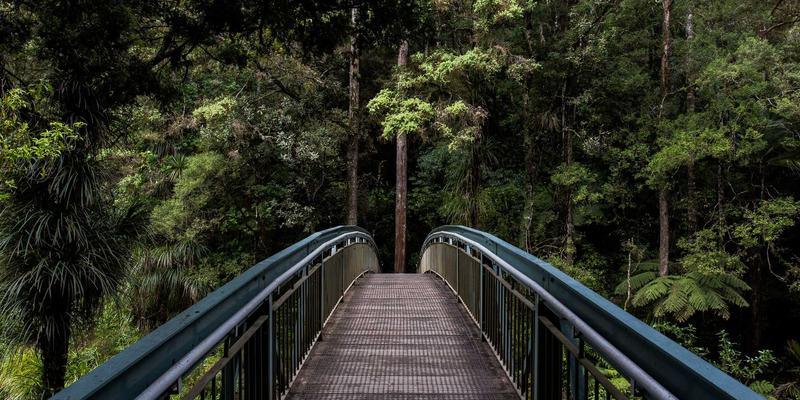 Wi-Fi 6技术深度解析：从编程视角看其对网络性能的实际提升