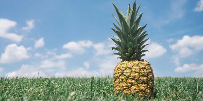 构建智能运维体系：网络性能监控（NPM）与可观测性平台建设策略