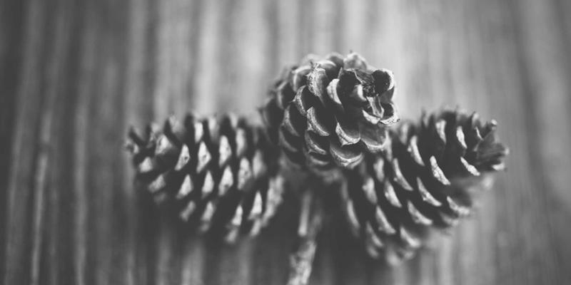 编程视角下的零信任落地：如何用基于身份与上下文的微分段重塑网络技术架构