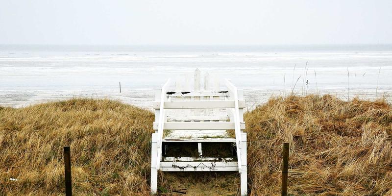 编程赋能，安全护航：跨国企业SD-WAN网络优化与选型实战指南