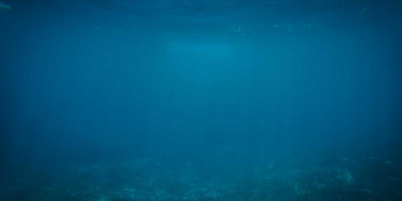 网络性能监控与可观测性：守护IT资源与网络安全的智能中枢