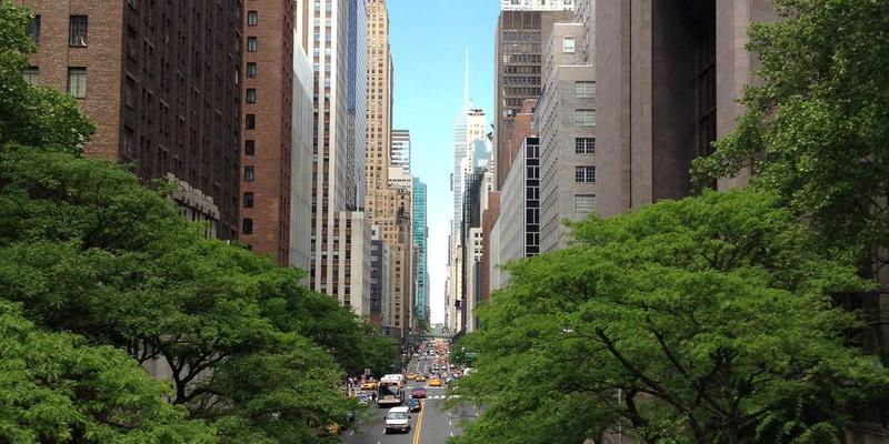 网络技术19：构筑数字世界的安全防线与编程实践