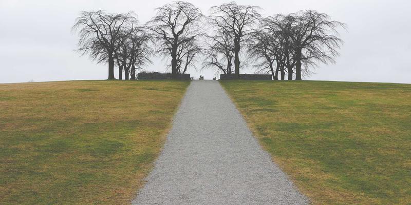 网络技术20：编程、IT资源与技术分享的融合新纪元