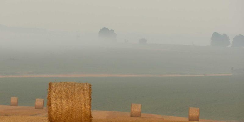 网络技术25：IT资源优化与技术分享的协同进化