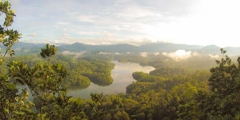 网络技术53：构筑数字时代的基石与盾牌