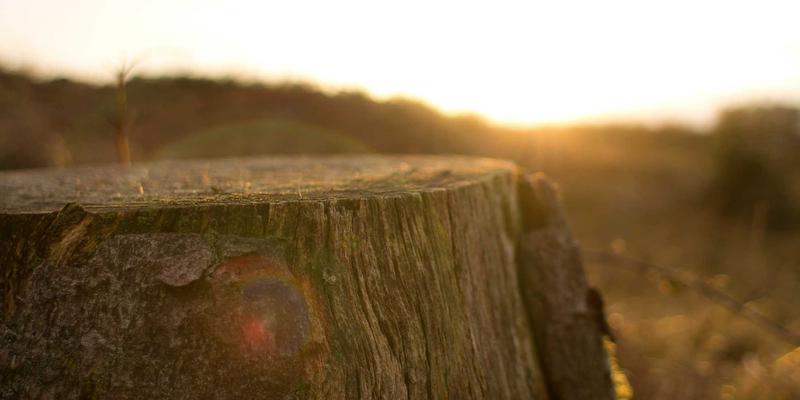 网络技术90：编程浪潮下的技术分享新生态