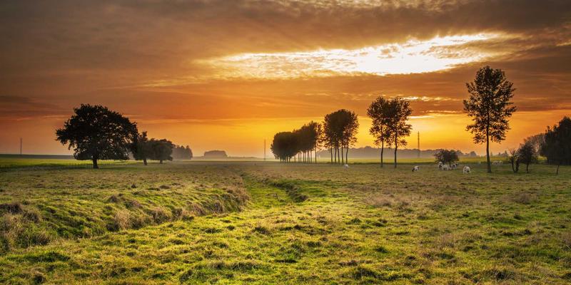 量子密钥分发：重塑未来网络安全体系与IT资源保护的编程实践